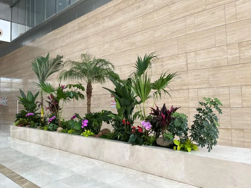 宁波花卉出租公司